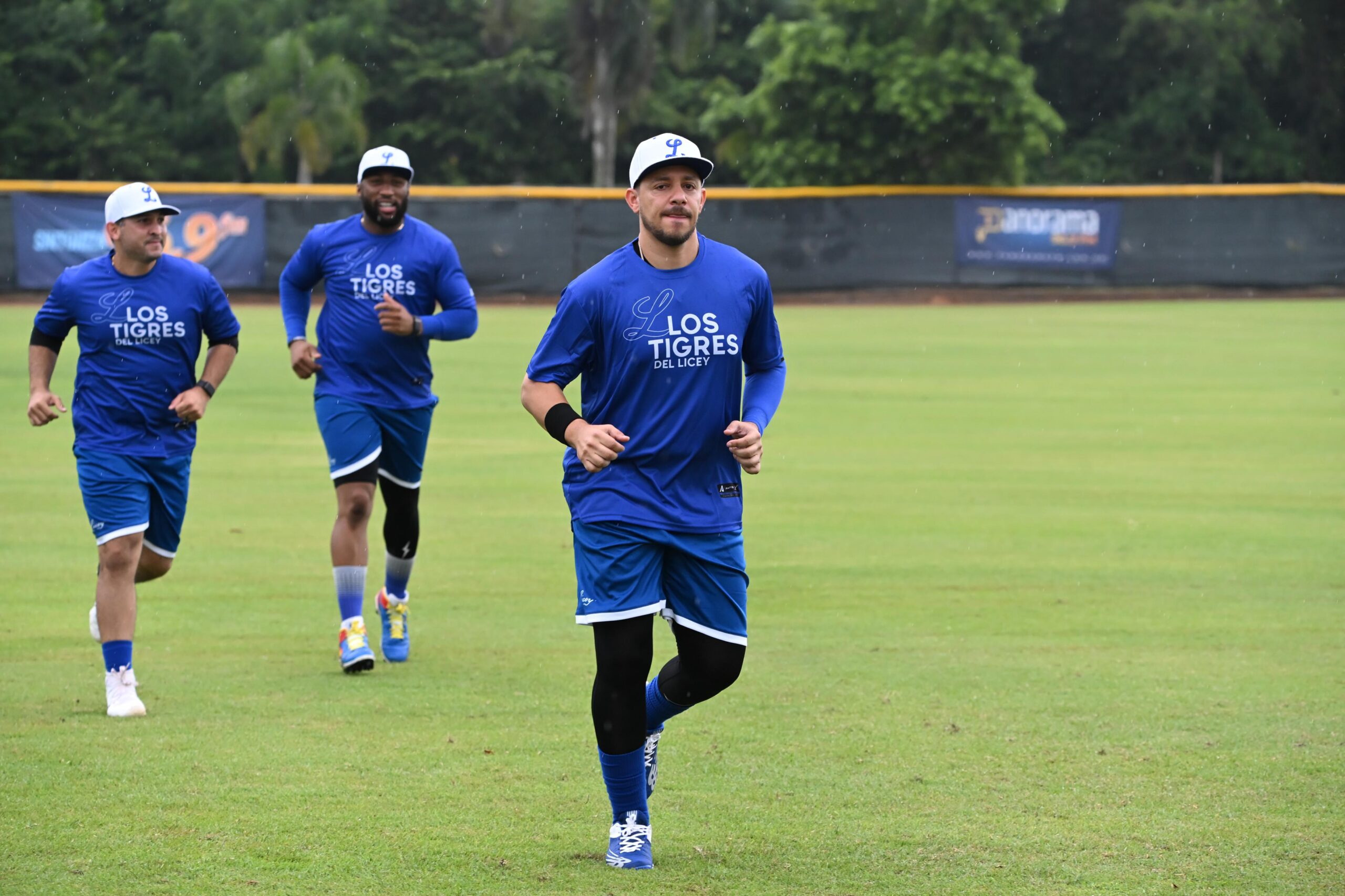 Tigres del Licey announce their preseason games | De Último Minuto English