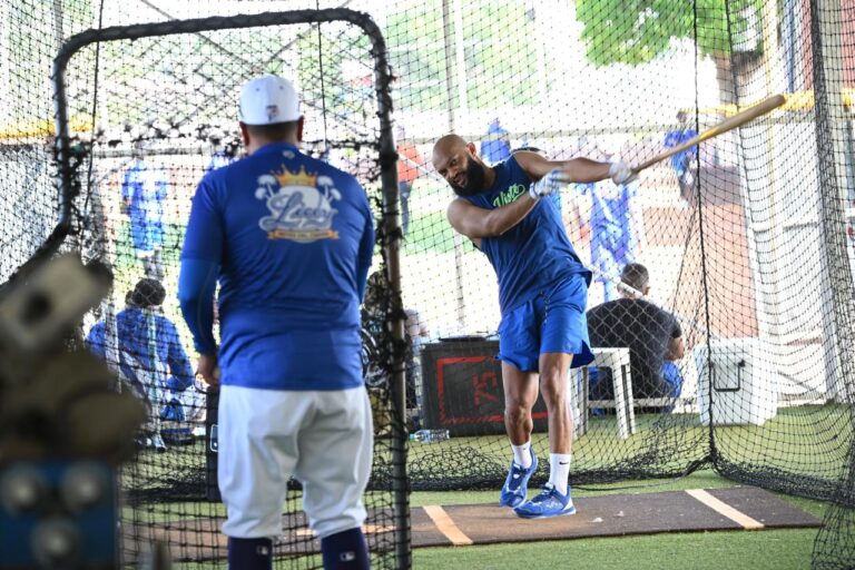 Emilio Bonifacio leads integrations for the Tigres del Licey | De Último Minuto English