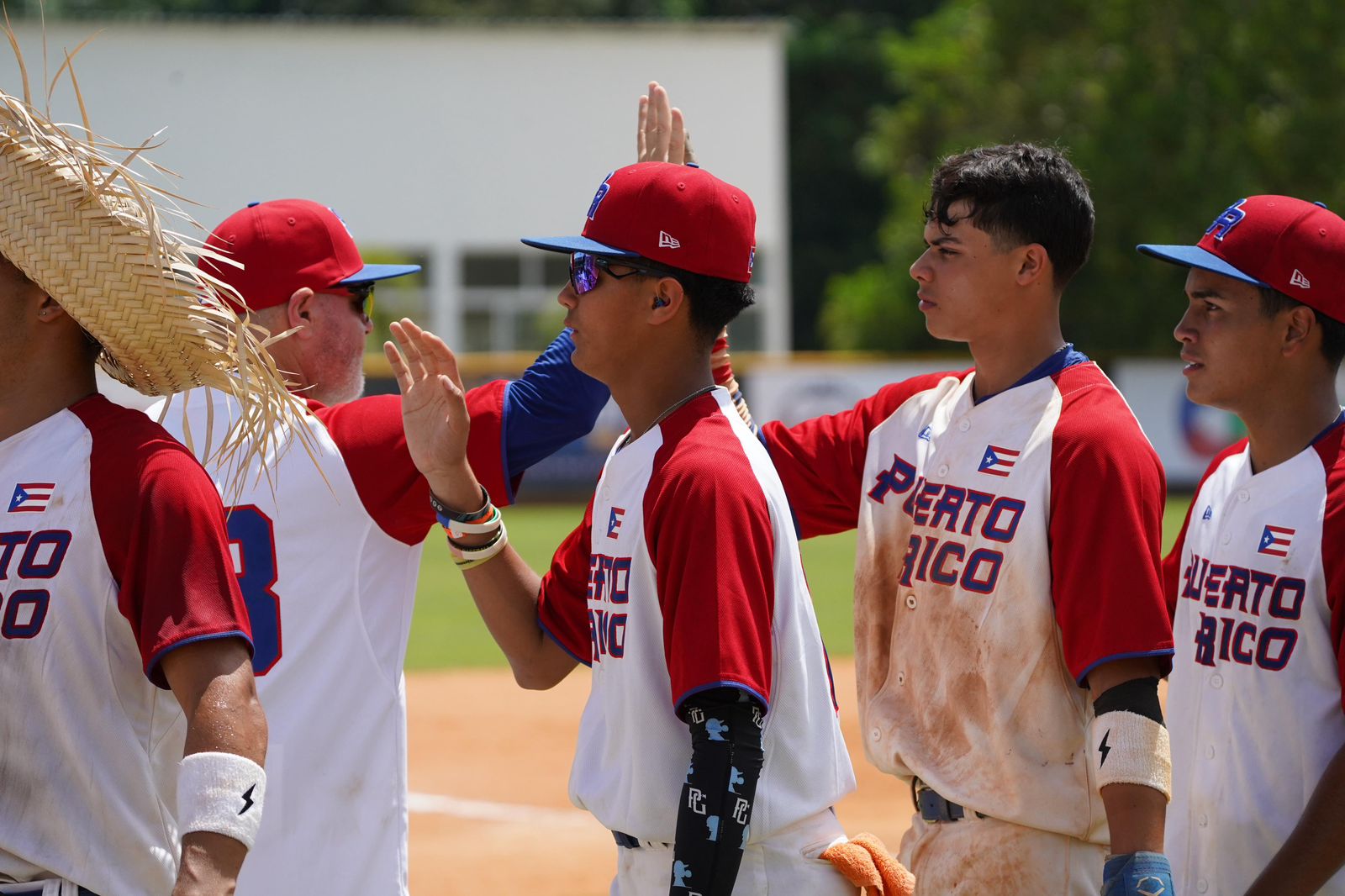 Puerto Rico recovers and manages to defeat Aruba U15 Premundial  baseball  | De Último Minuto English