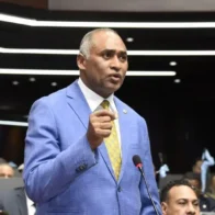 Julito Fulcar expects international organizations to "make serious decisions" regarding the crisis in Haiti | De Último Minuto English