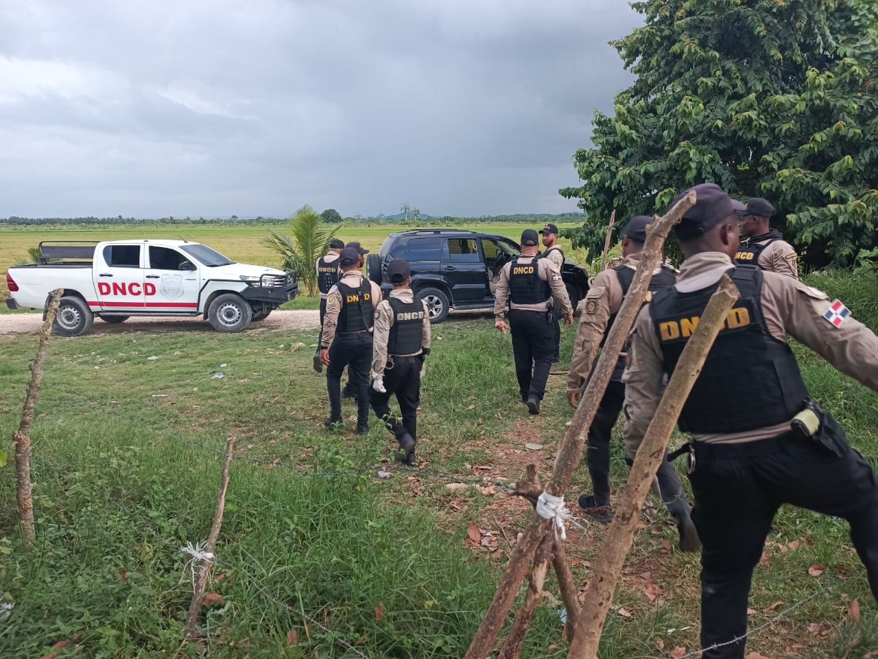 Micro-trafficking hit during August by removing from the streets more than one million 400 thousand grams | De Último Minuto English