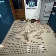 DINTEl along with the MP occupies more than 7 thousand grams of marijuana | De Último Minuto English