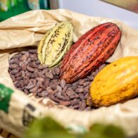 Kick off the sweetest week of the year with the 5th Dominican Chocolate Festival | De Último Minuto English