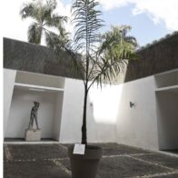 Jury of the 31st National Biennial of Visual Arts defend the validity of the award to the work “What is not uprooted, grows back” | De Último Minuto English