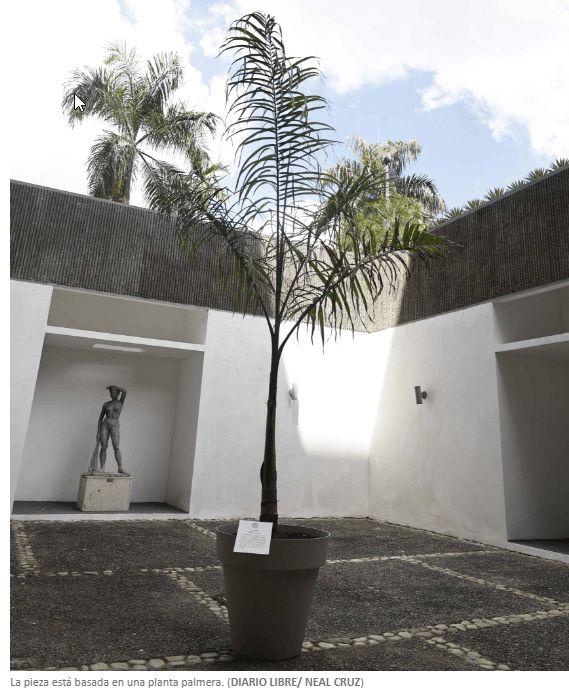 Jury of the 31st National Biennial of Visual Arts defend the validity of the award to the work “What is not uprooted, grows back” | De Último Minuto English