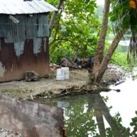 Residents of the Ozama and Isabelita riverbanks doubt government intervention | De Último Minuto English