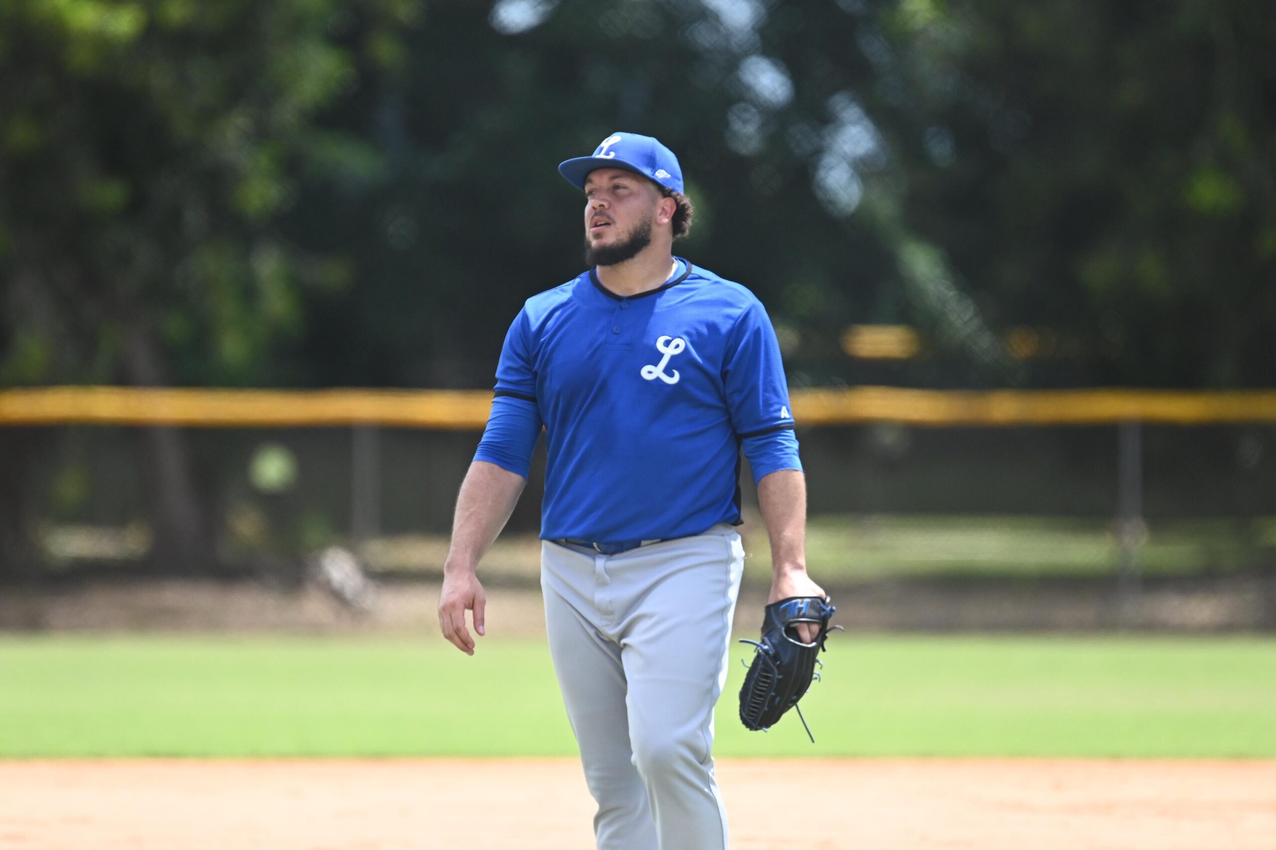 Aro, Arias, Severino, and Muñoz join the Tigres del Licey camp | De Último Minuto English