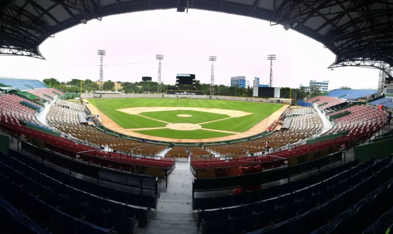 Basic guide to Dominican winter baseball: teams, schedule, and rivalries | De Último Minuto English