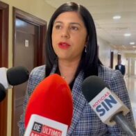 Congressmen value Abinader's efforts with China and Russia to support anti-gang mission in Haiti | De Último Minuto English