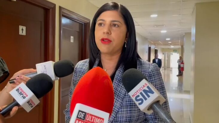 Congressmen value Abinader's efforts with China and Russia to support anti-gang mission in Haiti | De Último Minuto English