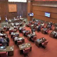 Senate approves in first reading bill to reform the Criminal Procedure Code | De Último Minuto English