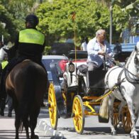 The Spanish city of Málaga eliminates horse-drawn carriage tours | De Último Minuto English