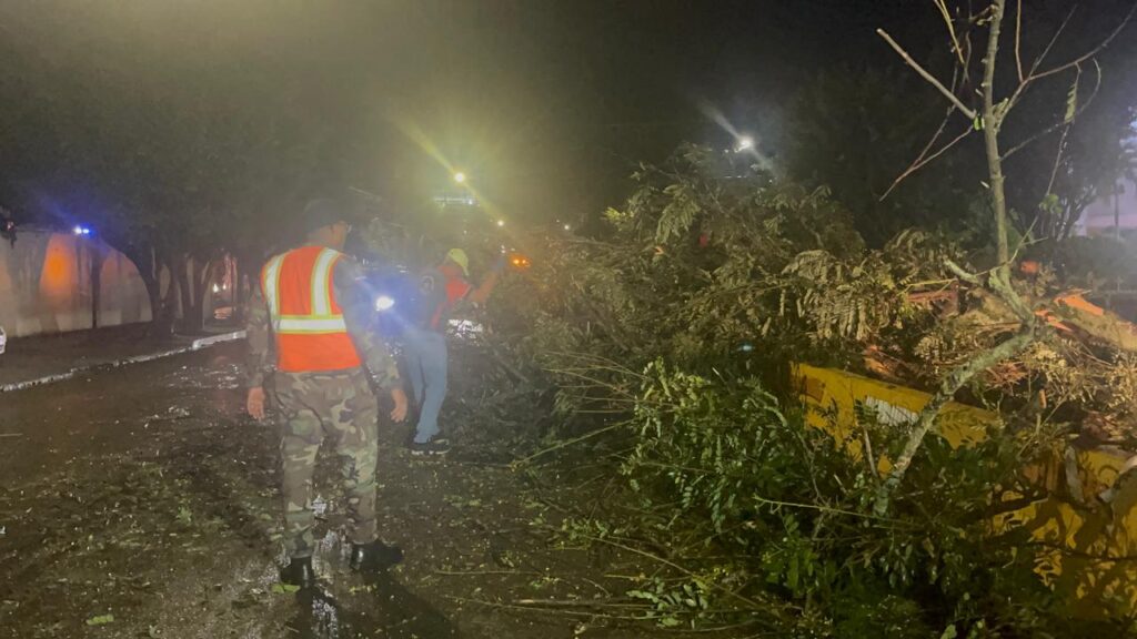 Heavy rains cause falling trees, blockages and floods in Santiago | 9 | Heavy rains cause falling trees, blockages and floods in Santiago | De Último Minuto English
