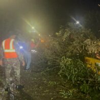 Heavy rains cause falling trees, blockages and floods in Santiago | De Último Minuto English
