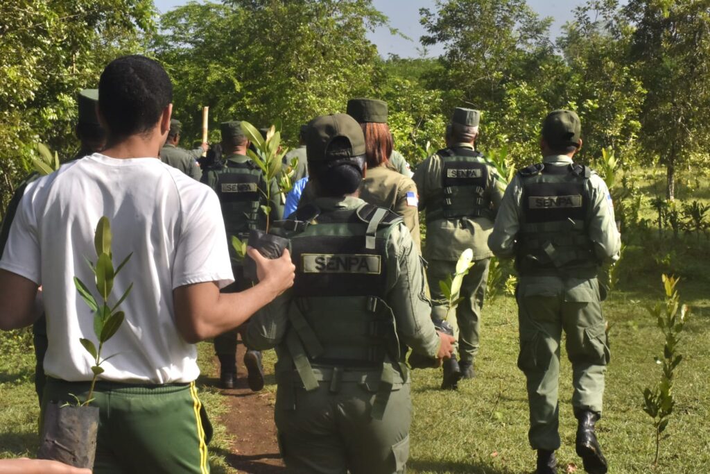 SENPA promotes reforestation day in Los Tablones, San Luis, with inter-institutional support | 1 | SENPA promotes reforestation day in Los Tablones, San Luis, with inter-institutional support | De Último Minuto English