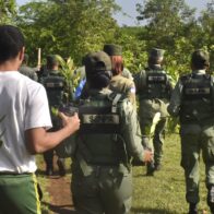 SENPA promotes reforestation day in Los Tablones, San Luis, with inter-institutional support | De Último Minuto English