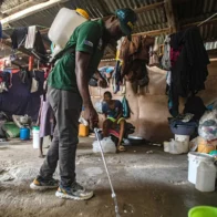 Cholera stalks Haiti again after a surge in cases | De Último Minuto English