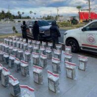 643 packages of cocaine seized in a large-scale operation in the country | De Último Minuto English