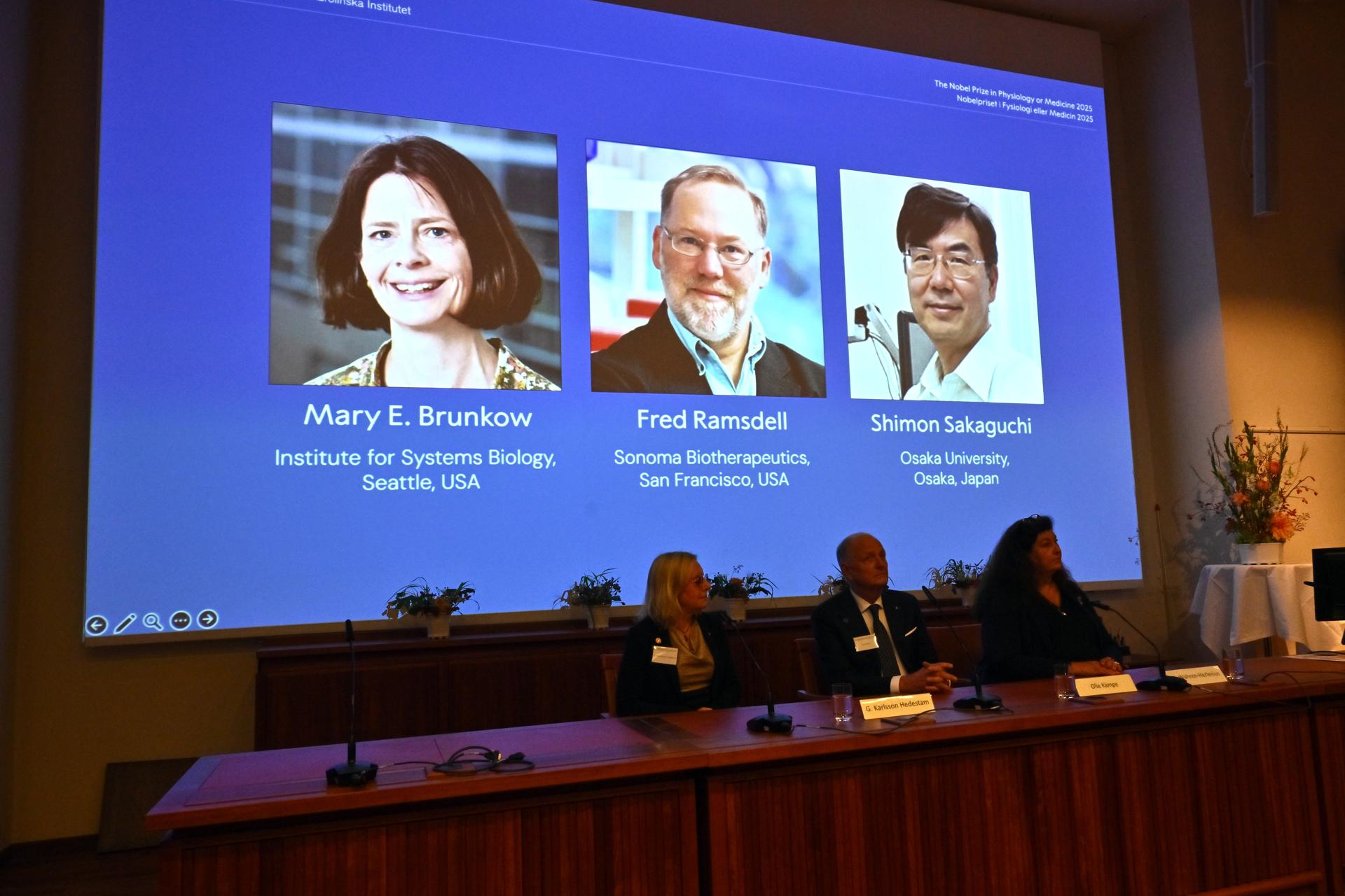 What is the peripheral immunological tolerance that has justified the Nobel Prize today? | De Último Minuto English