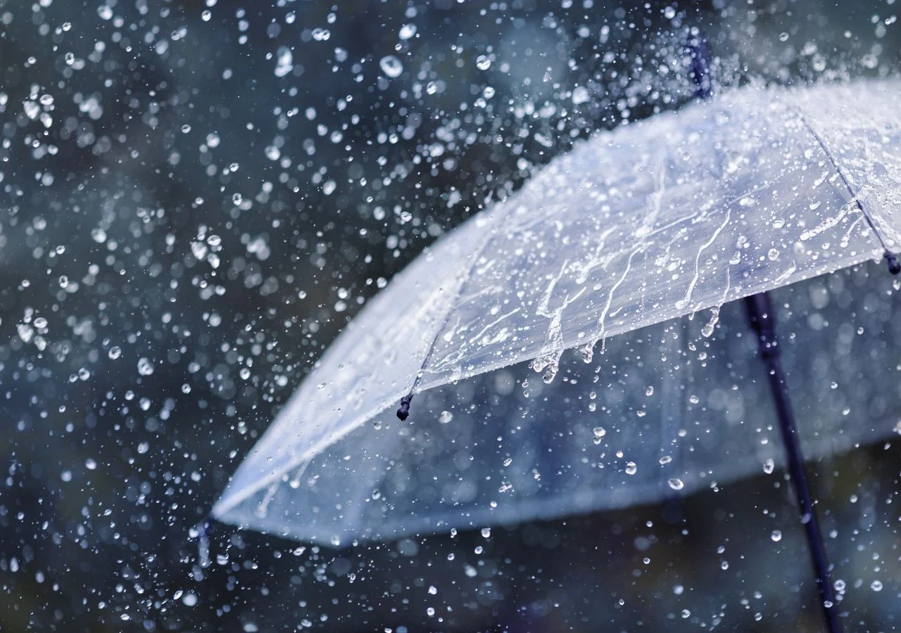Tropical wave keeps the country on alert and warning in effect | De Último Minuto English