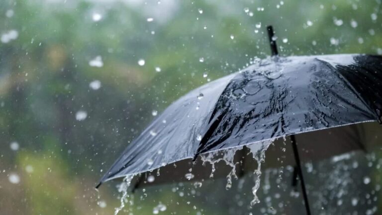 Continued trough incidence with isolated showers | De Último Minuto English