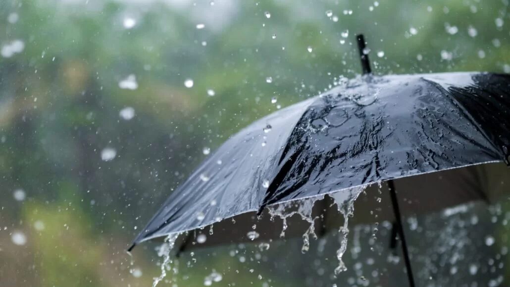 Continued trough incidence with isolated showers | De Último Minuto English