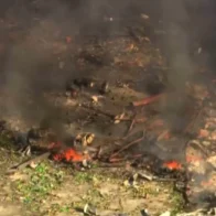 No survivors after explosion at a bomb factory in Tennessee | De Último Minuto English