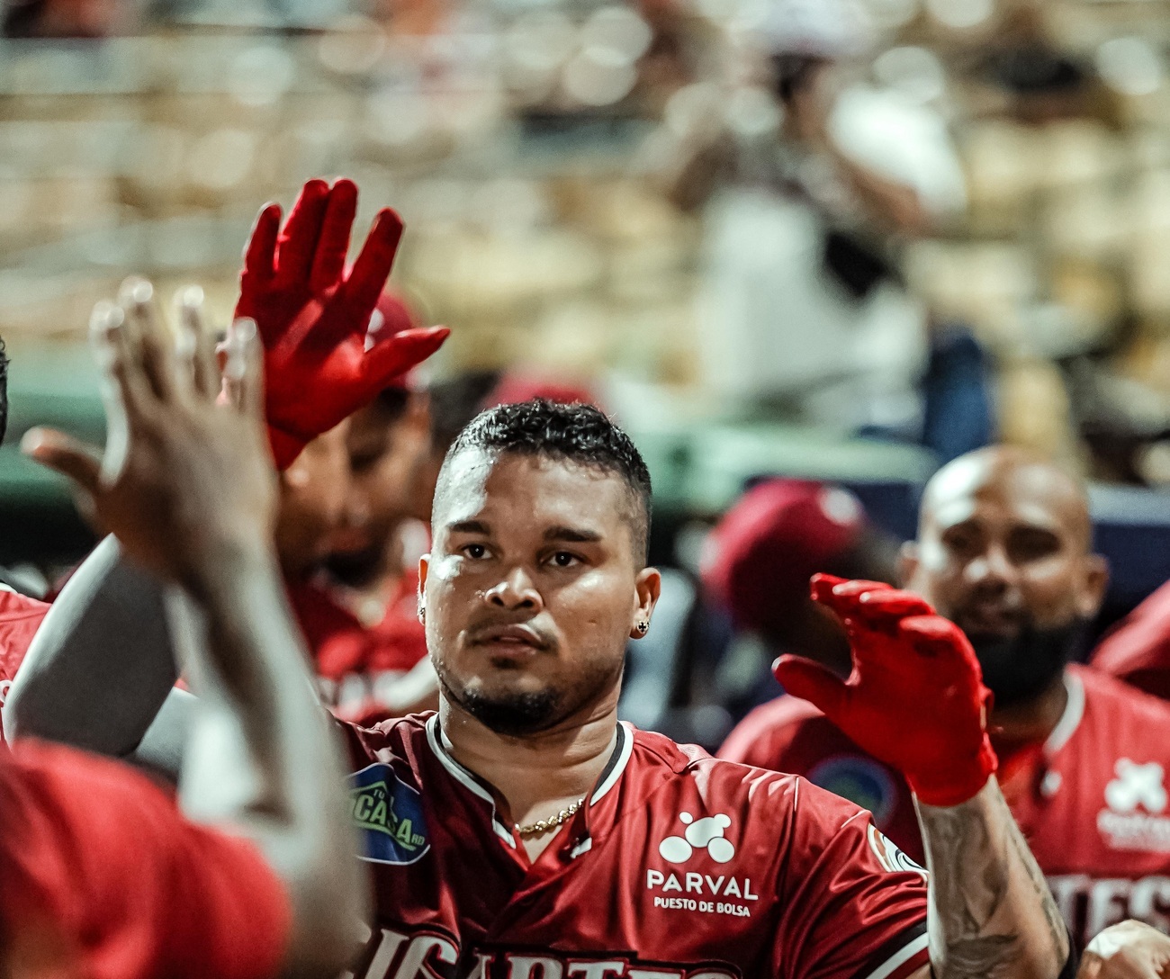 Lions and Giants split honors in intense doubleheader at Quisqueya | De Último Minuto English