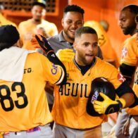 Berroa and Durán lead Aguilas offense in 6-4 victory over the Toros | De Último Minuto English