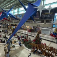 Venezuela urges airlines to resume flights before Wednesday noon | De Último Minuto English