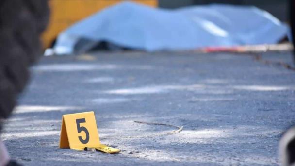Homicides reduction and progress in citizen security strategy reported | De Último Minuto English
