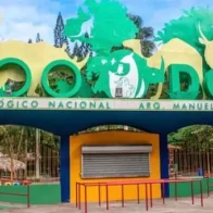 National Zoo clarifies that donation from Puerto Rico does not include poisonous animals | De Último Minuto English