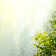 Passing showers due to weak trough and pleasant temperatures this Sunday in DR | De Último Minuto English