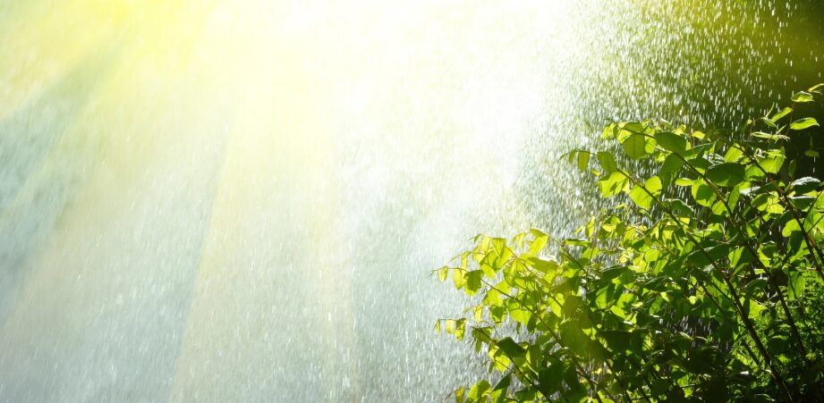 Passing showers due to weak trough and pleasant temperatures this Sunday in DR | De Último Minuto English