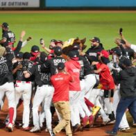 Leones del Escogido secure their spot in the Round Robin | De Último Minuto English