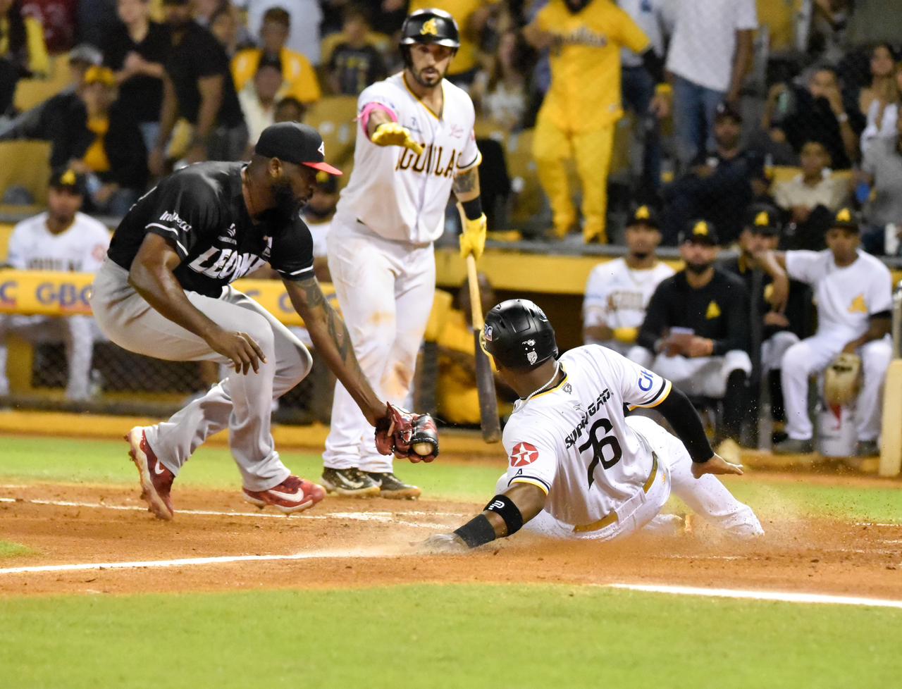 Águilas Cibaeñas defeat Leones and achieve their 25th victory of the season | De Último Minuto English