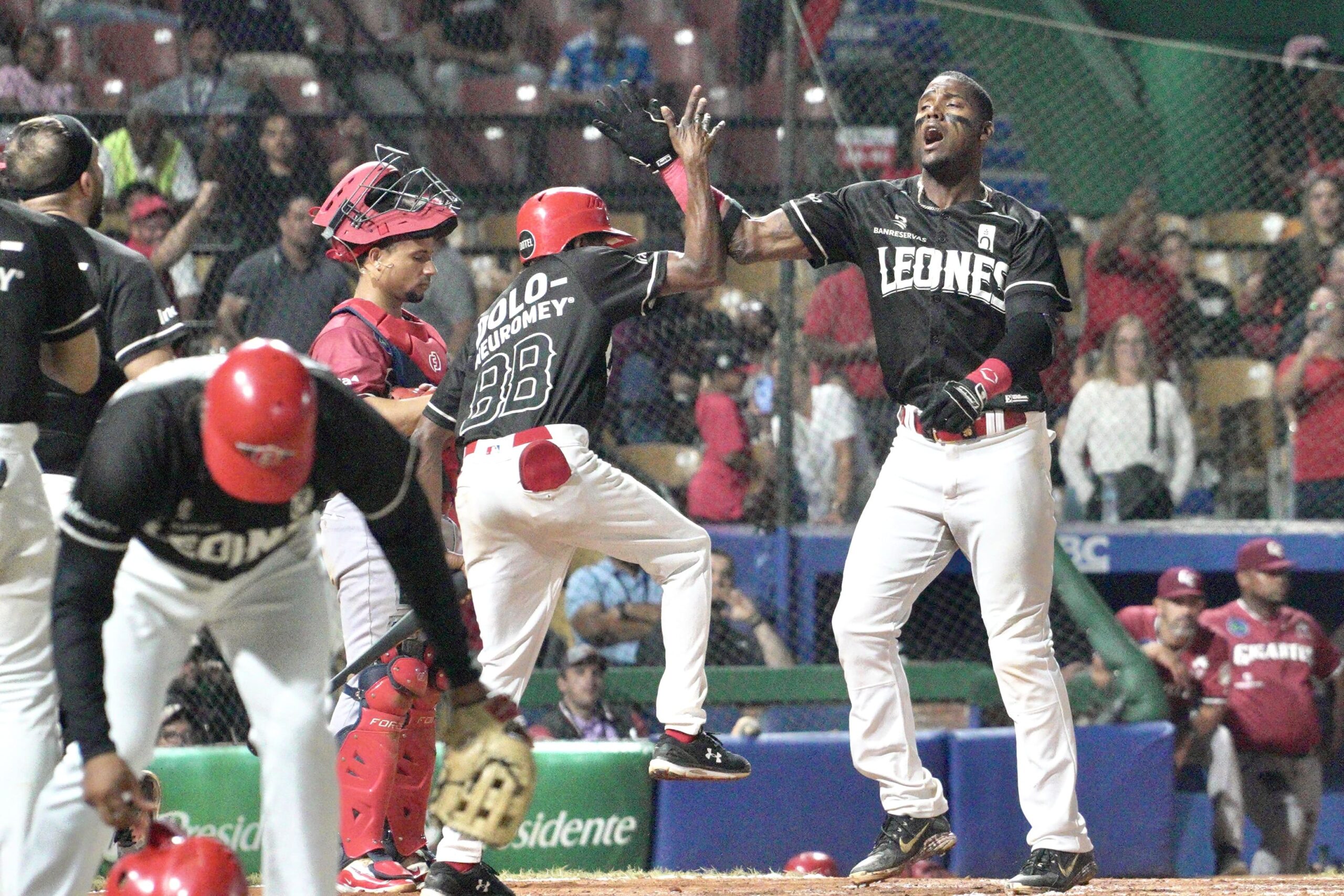 Junior Lake's home run keeps the Lions undefeated at the top of the Round Robin | De Último Minuto English