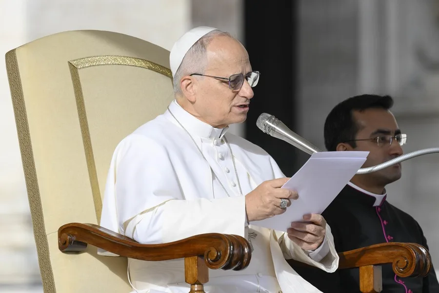 The Pope, "very disappointed" by the law on assisted suicide in Illinois | De Último Minuto English
