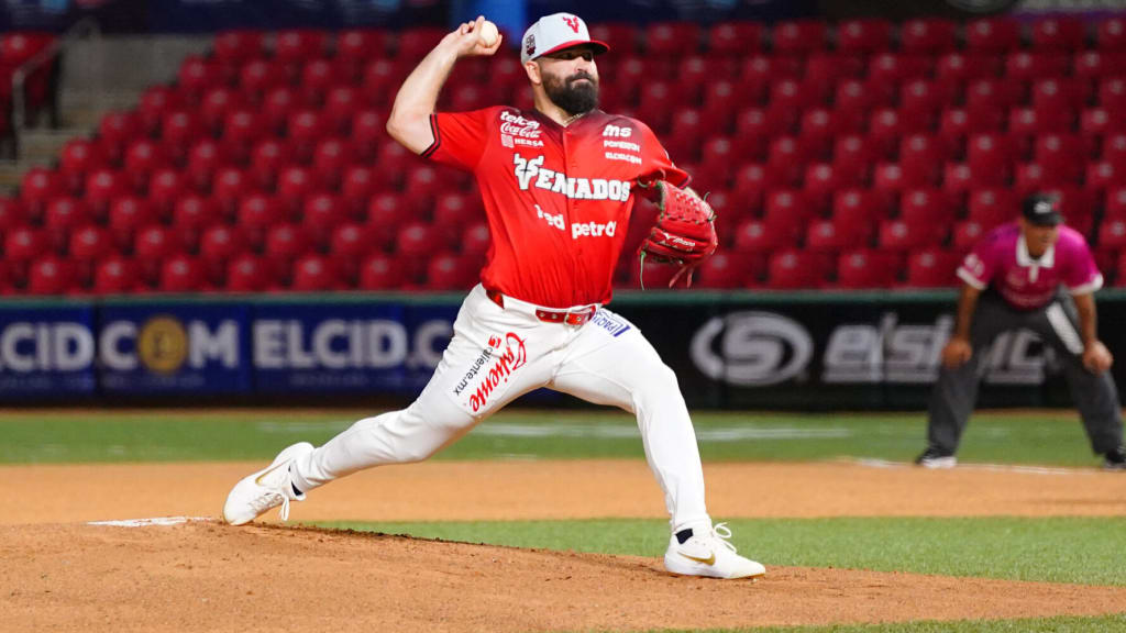 Leones del Escogido announce the incorporation of José Urquidy | De Último Minuto English