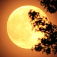 Last night, the first supermoon of 2026 was observed, a spectacle visible throughout the country | De Último Minuto English