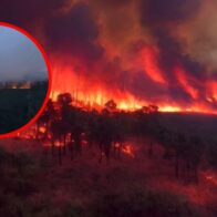 About 170 fires in Georgia and Florida cause evacuations and destroy 49 homes | De Último Minuto English