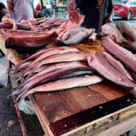 Vendedores de pescado aseguran que los costos se han mantenido; precios rondan desde RD$200 la libra | De Último Minuto English