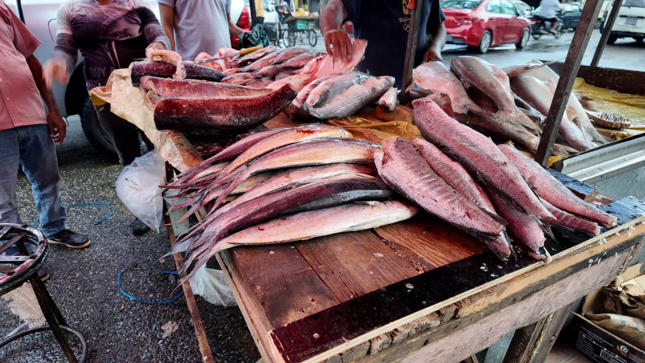 Vendedores de pescado aseguran que los costos se han mantenido; precios rondan desde RD$200 la libra | De Último Minuto English