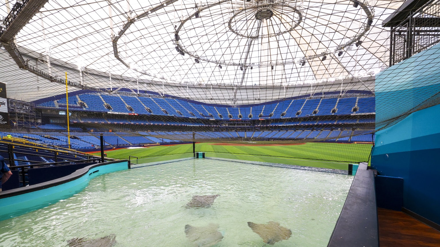 Rays regresan al Tropicana Field tras 561 días de ausencia | De Último Minuto English