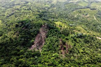 Boyá River basin devastated in Sabana Grande de Boyá | De Último Minuto English