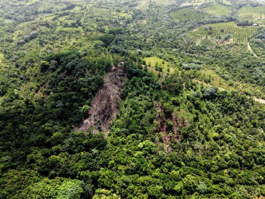 Boyá River basin devastated in Sabana Grande de Boyá | De Último Minuto English