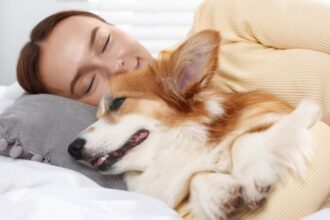 Sleeping with pets: studies reveal emotional benefits, but also risks | De Último Minuto English