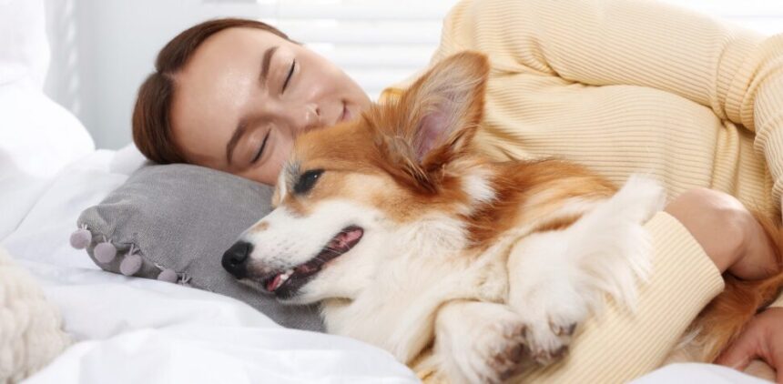 Sleeping with pets: studies reveal emotional benefits, but also risks | De Último Minuto English