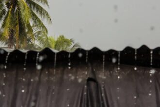 Trough and tropical wave will continue to cause downpours this Sunday | De Último Minuto English