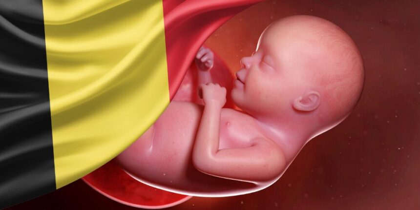 Belgium studies extending the possibility of abortion up to 14 weeks | De Último Minuto English